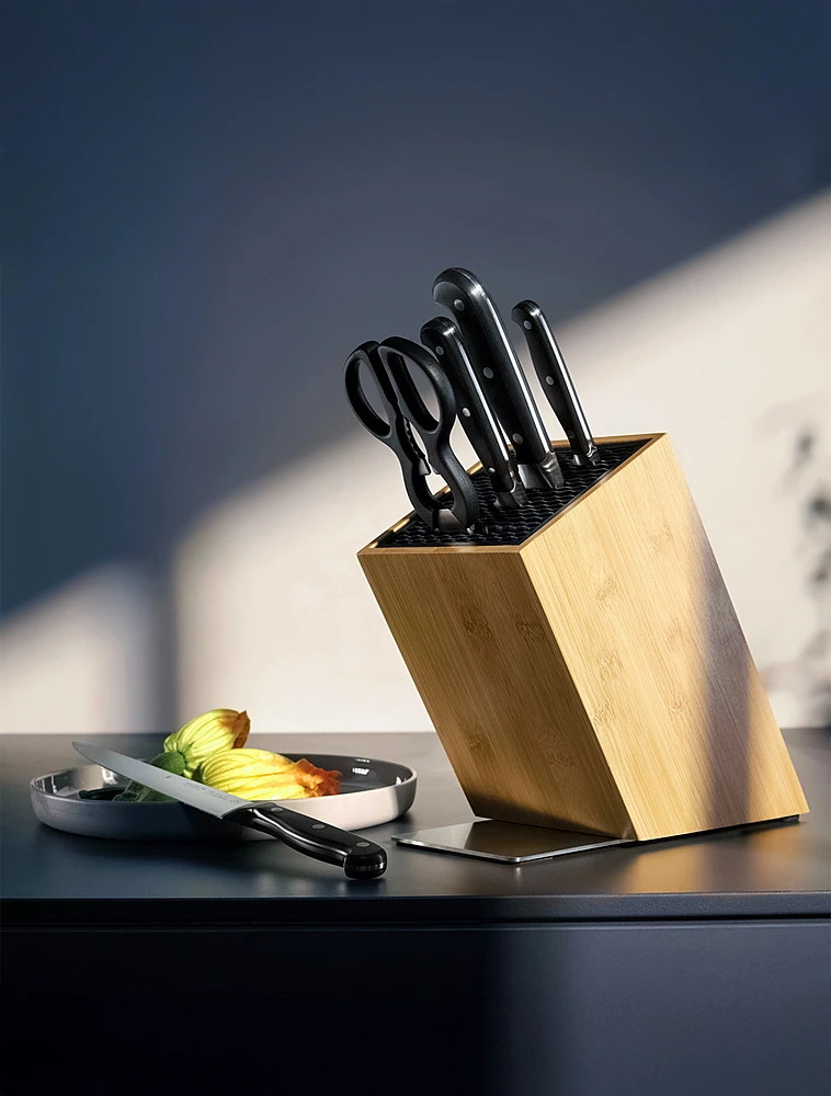 Набор кухонных ножей с подставкой Spitzenklasse Plus, 5 пр. от WMF