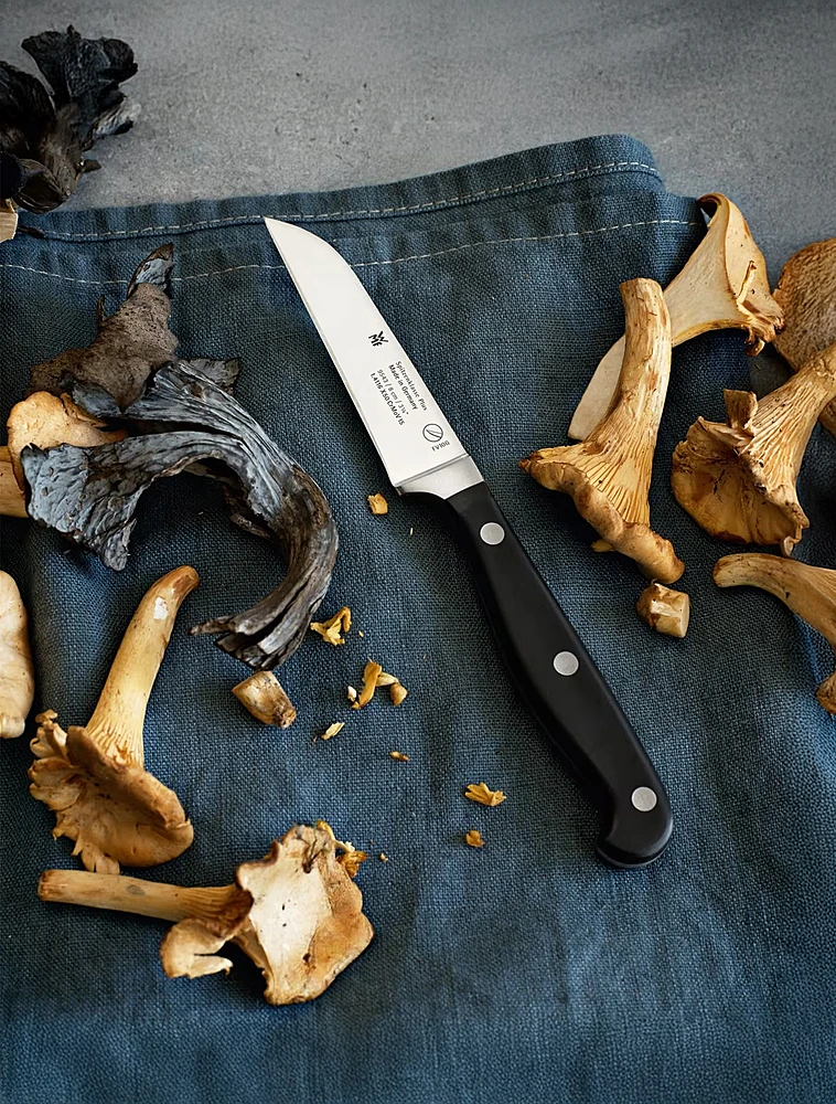 Набор кухонных ножей с подставкой Spitzenklasse Plus, 5 пр. от WMF