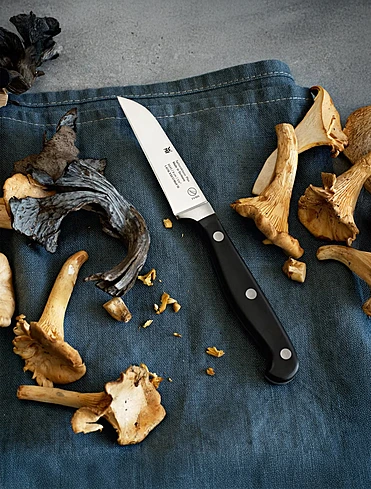 Набор кухонных ножей с подставкой Spitzenklasse Plus, 5 пр.